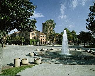 《新世界》New World鲜牛加速器澳服延迟降至最低140MS